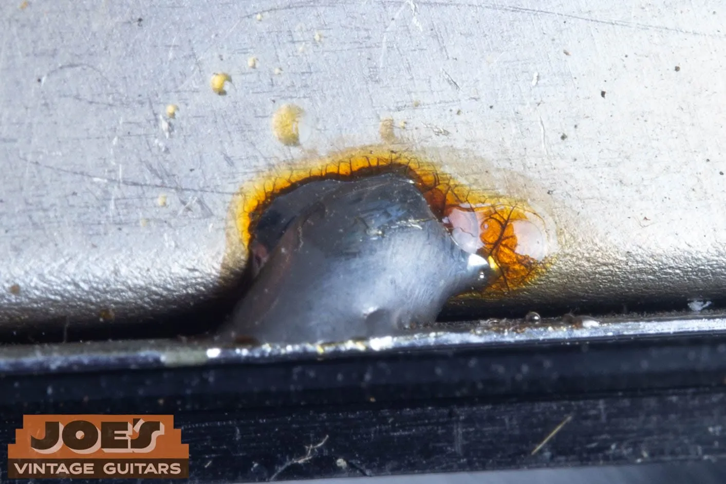 Extreme close-up of an aged factory solder joint on a Gibson PAF baseplate with brown flux staining.